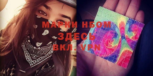 прущий лед Арсеньев