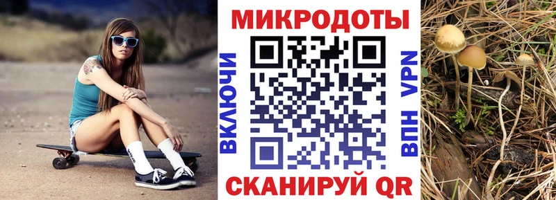 Псилоцибиновые грибы MAGIC MUSHROOMS  Приморско-Ахтарск 